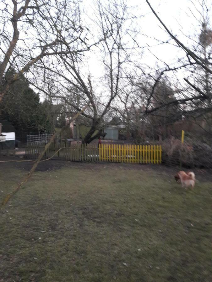 Hundefreundliches Zimmer Wustermark Exteriér fotografie